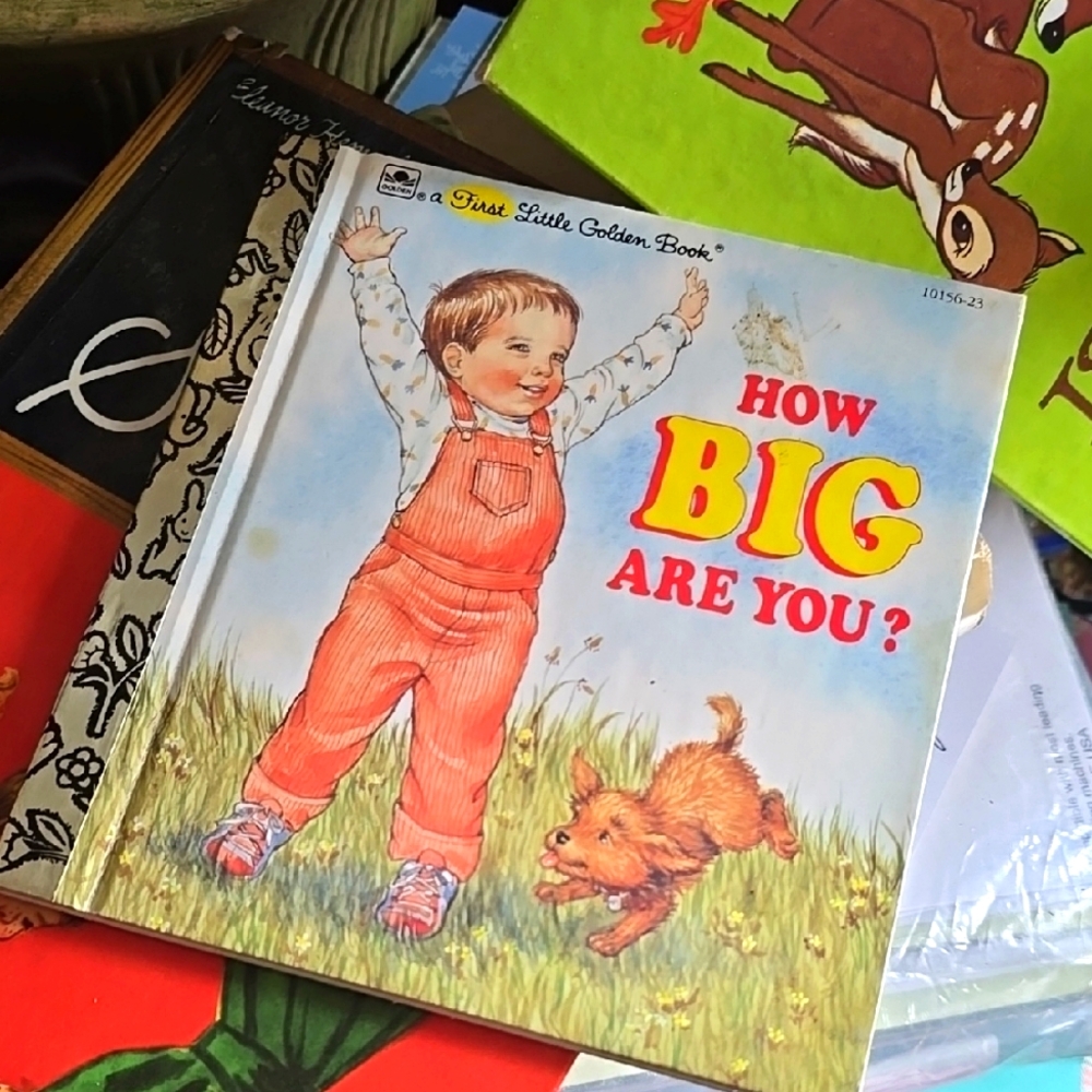 Vintage 90s How Big Are You  Little Golden Book